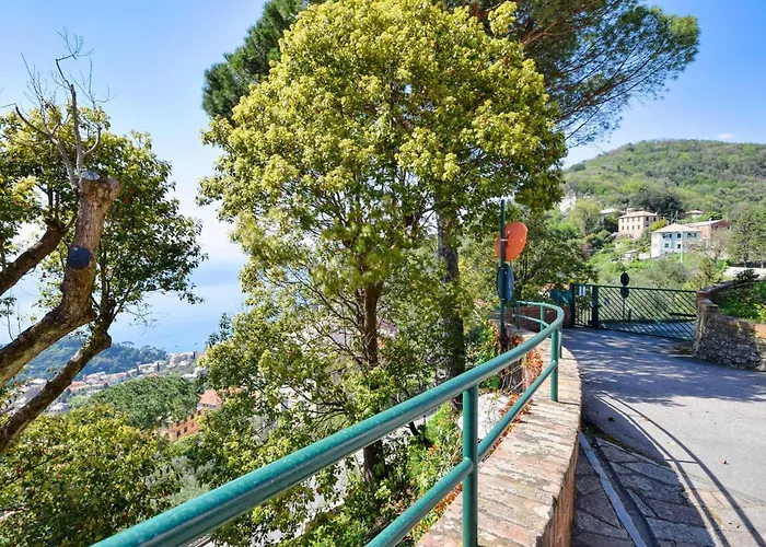 Apartment Stunning In With Wifi